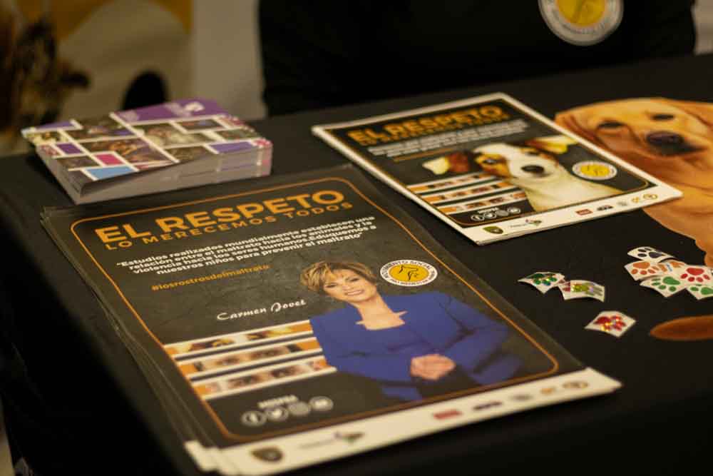 2026 02 spring open house-7